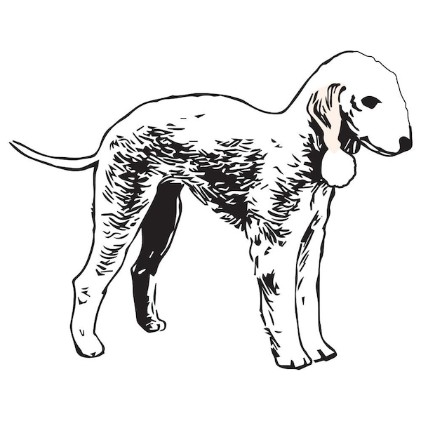 Signmission Bedlington Terrier Dog Decal, Dog Lover Decor Vinyl Sticker D-12-Bedlington Terrier - main